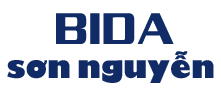 //www.bidasonnguyen.com/files/images/logo-bida-sonnguyen.png
